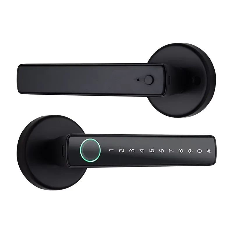 Maniglia Elettronica per Porta - Door Handle recensione e prezzo