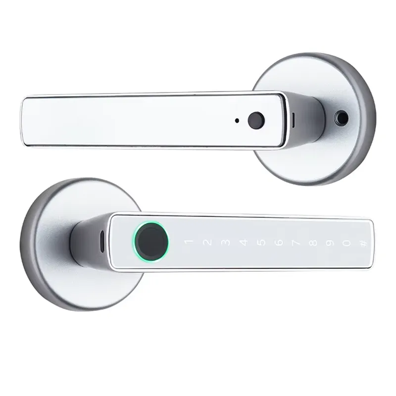 Maniglia Elettronica per Porta - Door Handle recensione e prezzo